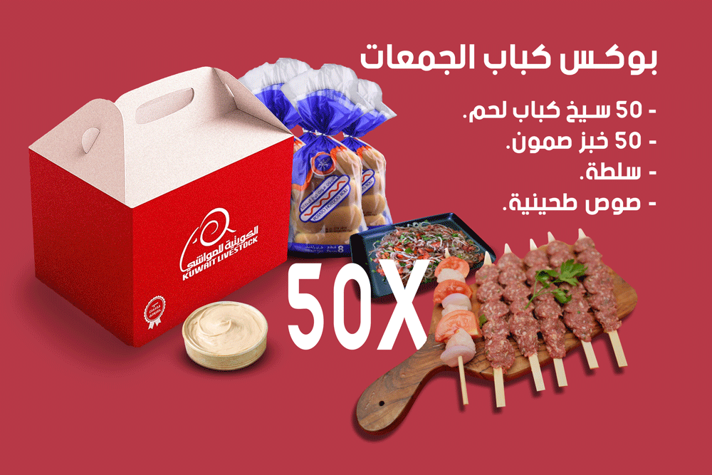 Kebab Box Gathering 50 pcs