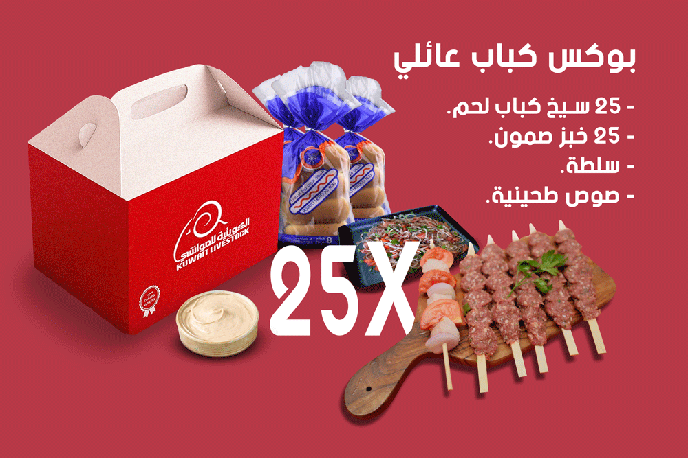 بوكس كباب عائلي 25 قطعة